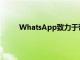 WhatsApp致力于带来头像可用作个人资料图片