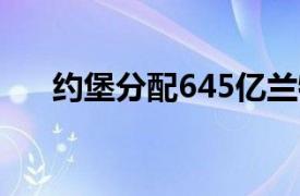 约堡分配645亿兰特用于基础设施投资