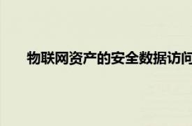 物联网资产的安全数据访问和管理解决方案的全球提供商