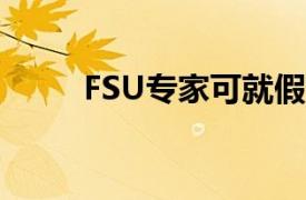 FSU专家可就假日购物季发表评论