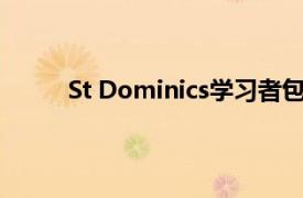 St Dominics学习者包揽国际科学与工程奖亚军