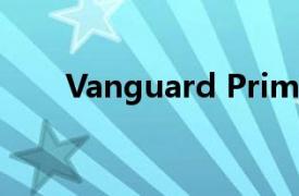 Vanguard Prime货币市场基金概述