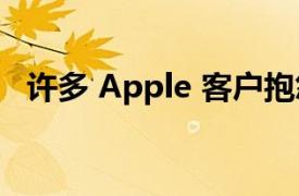 许多 Apple 客户抱怨iPad Air的制造质量