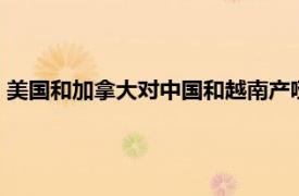 美国和加拿大对中国和越南产哑铃玩具实施召回，总计约41万件