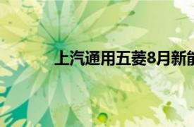 上汽通用五菱8月新能源销量同比增长95.5%