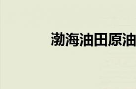 渤海油田原油日产创历史新高