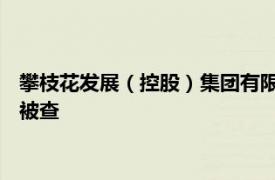 攀枝花发展（控股）集团有限责任公司党委副书记 总经理屈斌华被查