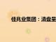 佳兆业集团：清盘呈请聆讯延期至2025年3月31日