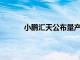 小鹏汇天公布量产时间表，售价不超过200万