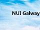 NUI Galway 被评为年度最佳大学