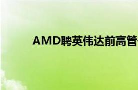 AMD聘英伟达前高管任全球AI市场高级副总裁