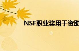 NSF职业奖用于资助软电子液体金属的研究