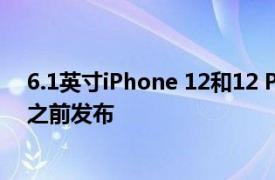 6.1英寸iPhone 12和12 Pro可能会在其他iPhone 12型号之前发布