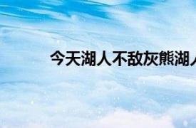 今天湖人不敌灰熊湖人球员艾灵顿出场11分钟