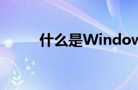 什么是Windows最高效的浏览器