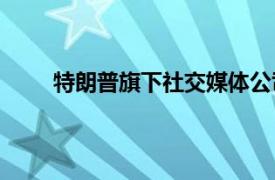 特朗普旗下社交媒体公司股价从7月高点暴跌56%