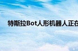 特斯拉Bot人形机器人正在开发中原型将于2022年推出