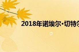 2018年诺埃尔·切特尔纪念艺术奖展览获奖者