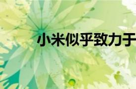 小米似乎致力于全屏指纹解锁技术