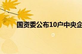 国资委公布10户中央企业13名领导人员职务任免