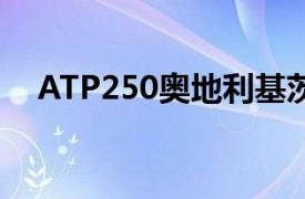 ATP250奥地利基茨比厄尔站男单第二轮