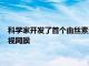 科学家开发了首个由丝素蛋白和视网膜细胞构建的生物杂交人工视网膜