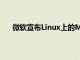 微软宣布Linux上的MicrosoftEdge浏览器即将面世