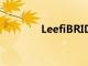 LeefiBRIDGE移动内存评测