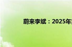 蔚来李斌：2025年第三品牌萤火虫将交付