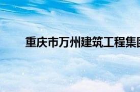 重庆市万州建筑工程集团有限公司董事长孔鹏被查