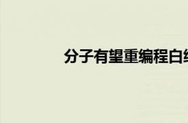 分子有望重编程白细胞以更好地治疗癌症