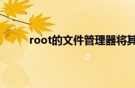 root的文件管理器将其手动安装为系统应用程序