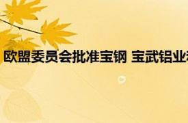 欧盟委员会批准宝钢 宝武铝业和日本神户成立汽车铝板合资企业