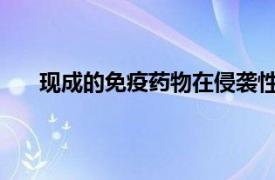 现成的免疫药物在侵袭性多发性骨髓瘤中显示出希望