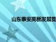 山东泰安高新发展集团副总经理钟伟接受审查调查