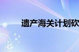 遗产海关计划砍掉路虎卫士的车顶