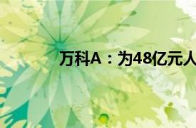 万科A：为48亿元人民币贷款新增融资担保