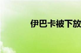 伊巴卡被下放到发展联盟首秀