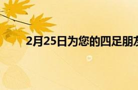 2月25日为您的四足朋友购买加重毛毯可节省25%