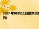 2024年09月11日最新消息：今日银的市场价查询(2024年9月11日)