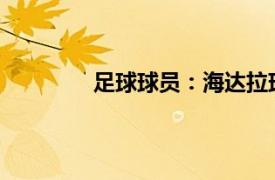 足球球员：海达拉球员信息以及位置表现