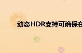 动态HDR支持可确保在逐场景甚至逐帧的基础上