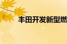 丰田开发新型燃料电池混合动力车