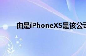 由是iPhoneXS是该公司历史上最畅销的手机之一