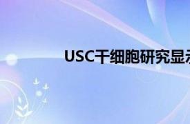 USC干细胞研究显示神经干细胞迅速老化