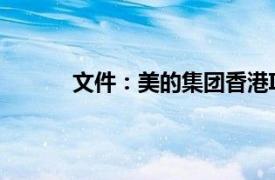 文件：美的集团香港IPO据悉将筹资40亿美元