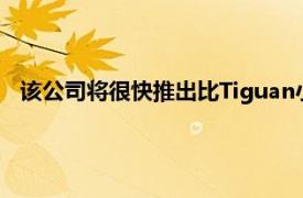 该公司将很快推出比Tiguan小的跨界车据称这将被称为Tarek