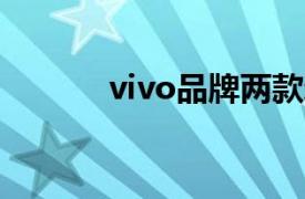 vivo品牌两款新机通过3C认证