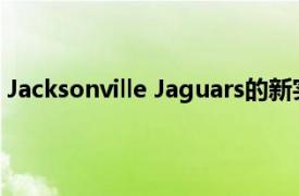 Jacksonville Jaguars的新实践设施展示了计算设计的力量