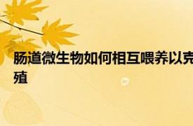 肠道微生物如何相互喂养以克服饮食不足 改变宿主行为并改善繁殖